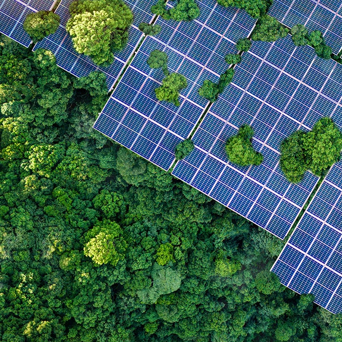 Vista aérea paneles solares